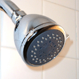 massage shower head