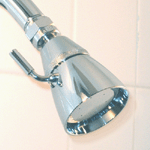 chrome showerhead