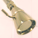 polished brass showerhead