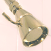 polished brass shower heads