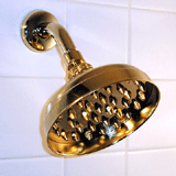 brass showerheads
