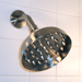 brushed nickel rain showerhead