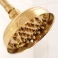 polished brass raini showerhead