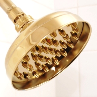 polished brass shower head